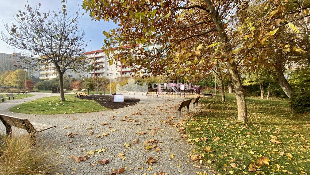 Superior 4- bedroom duplex in a new building with terrace and garage for rent in Petržalka