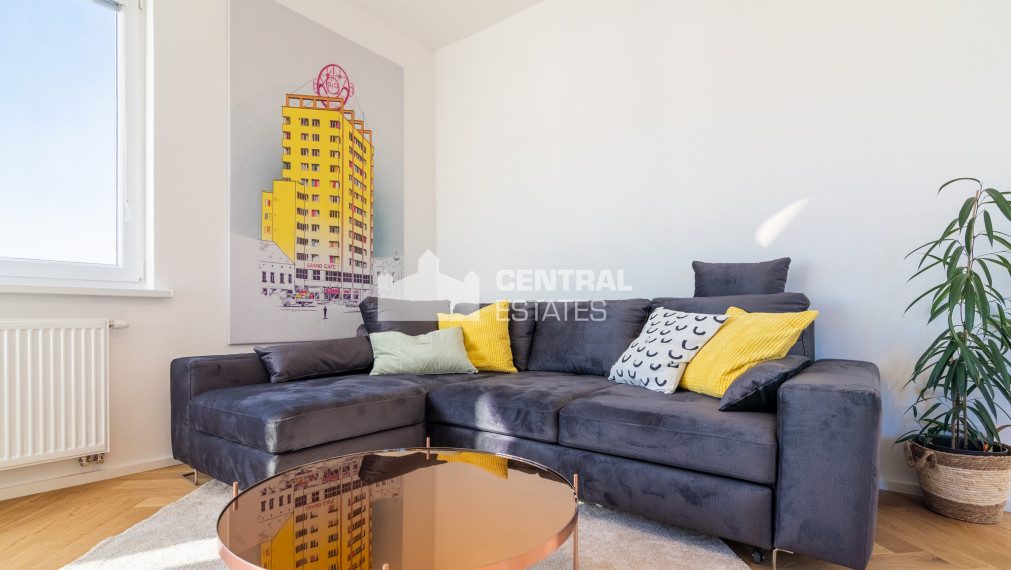 Unique large-scale 2- bedroom apartment for rent in the Old Town