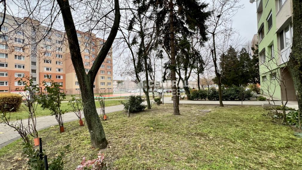 A quiet 1- bedroom apartment with a loggia and a cellar for sale in Senec