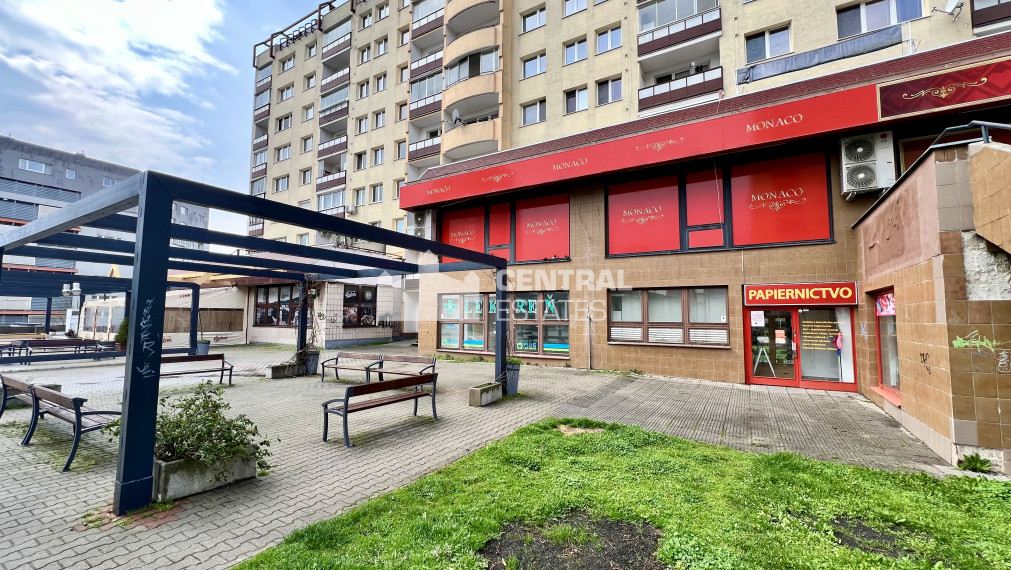 Spacious non-residential space for rent in Karlová Ves