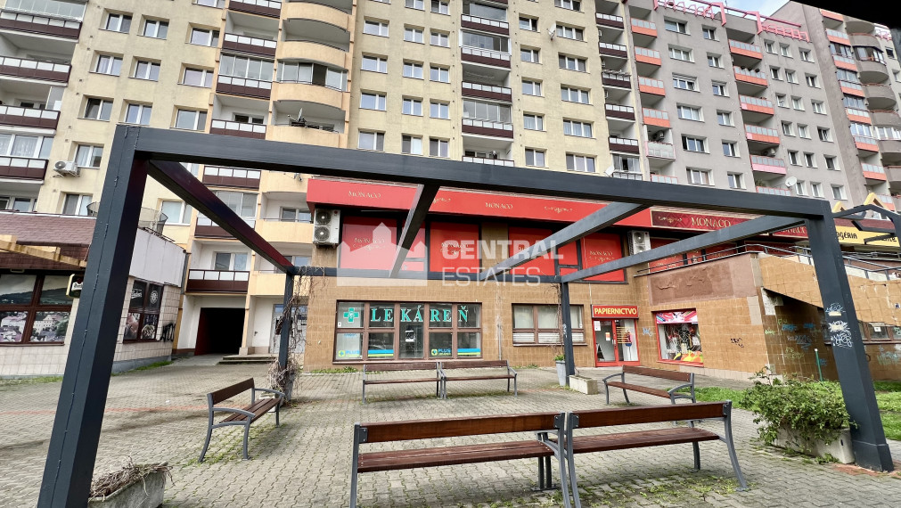 Spacious non-residential space for rent in Karlová Ves