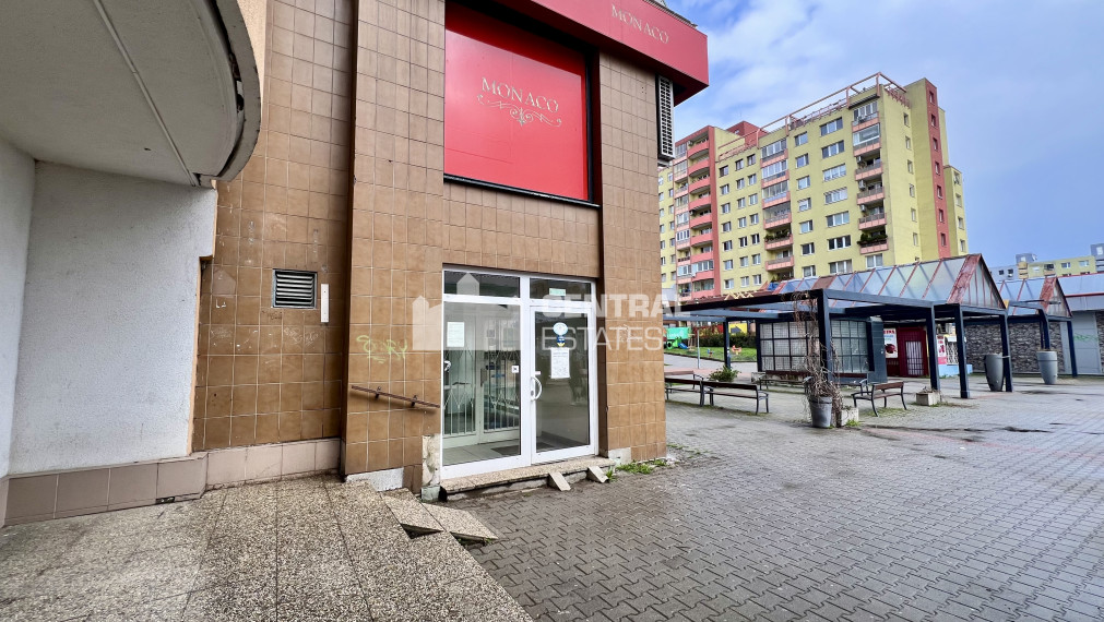 Spacious non-residential space for rent in Karlová Ves