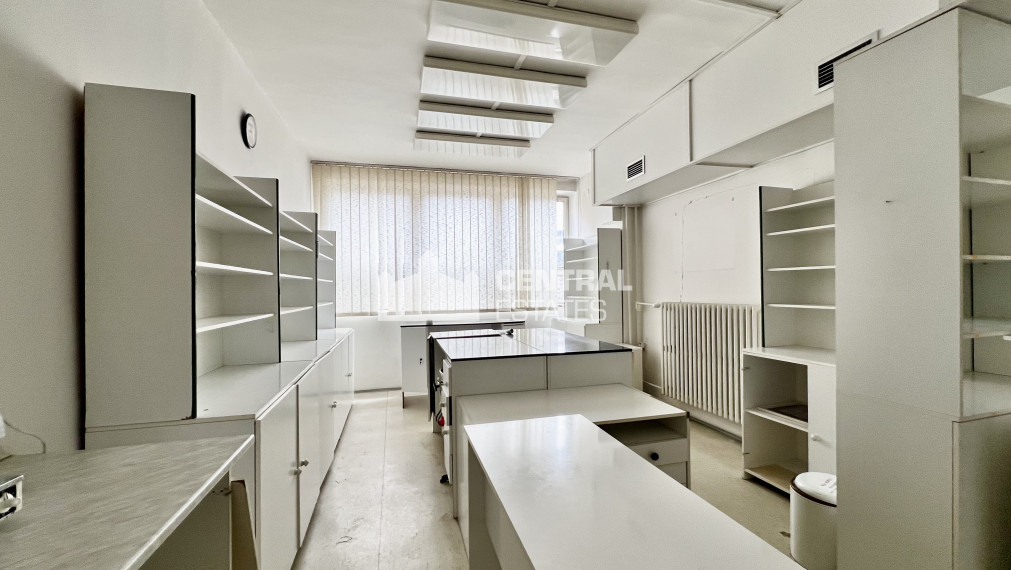 Spacious non-residential space for rent in Karlová Ves