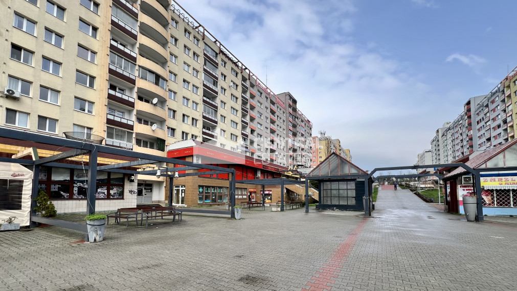 Spacious non-residential space for rent in Karlová Ves