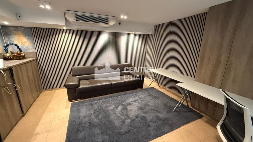 Spacious commercial space 270m2 for rent Karlova Ves