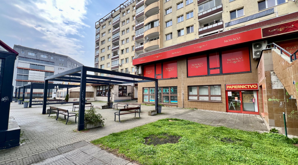 Spacious non-residential space for rent in Karlová Ves