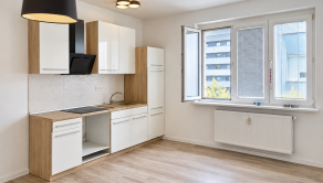 2-room apartment 47 m² with cellar for sale in Nové Mesto RESERVED - fotografia 1