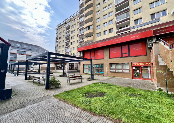 Spacious non-residential space for rent in Karlová Ves