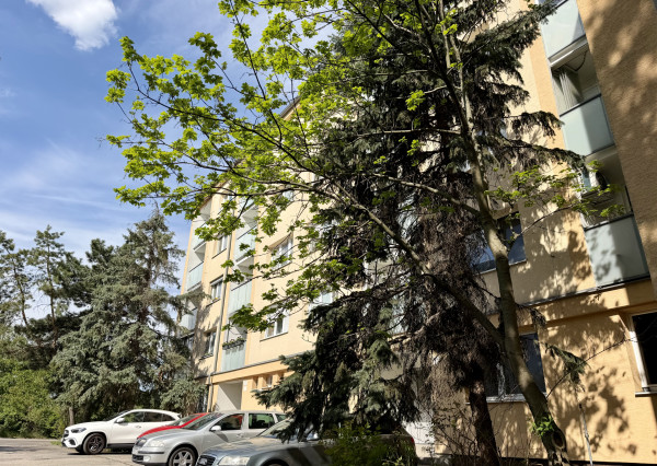 2-room apartment, 50m2, balcony, cellar, for sale Ružinov