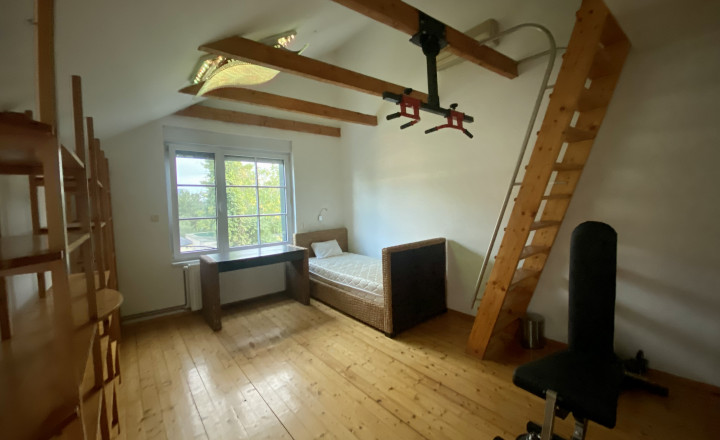 Spacious 8- room family house with garden and sauna for rent in Nove mesto - fotografia 15