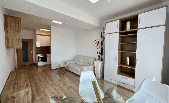 Modern 1-bedroom apartment in a new building with a loggia for rent in the Old Town