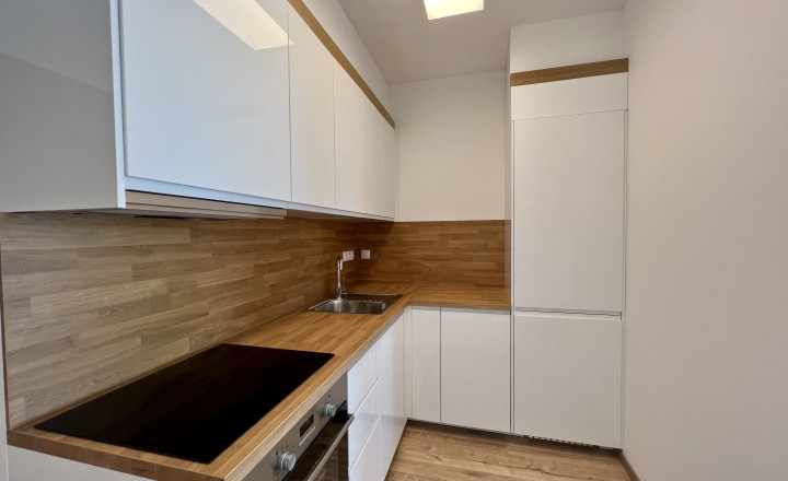Modern 1-bedroom apartment in a new building with a loggia for rent in the Old Town - fotografia 4